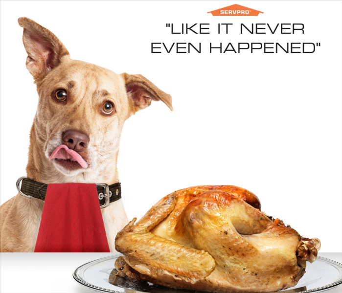Dog with turkey and caption, "Like it never even happened."