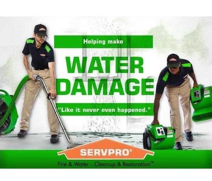 2 men tending to water damage in a home with green plants in the background 
